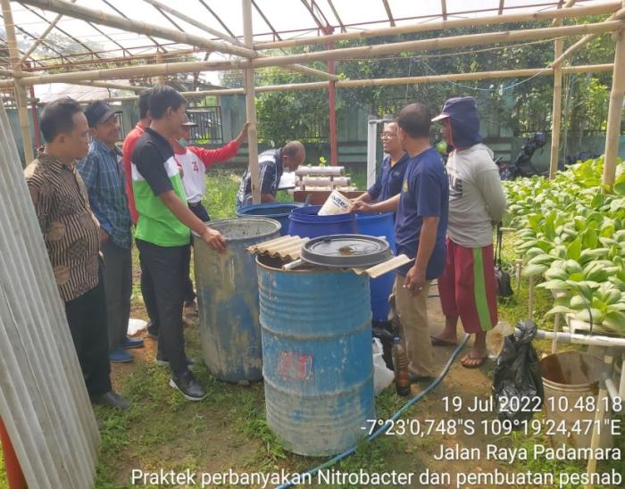 TINGKATKAN PRODUKTIVITAS, LAKUKAN PERTANIAN RAMAH LINGKUNGAN LOW COST