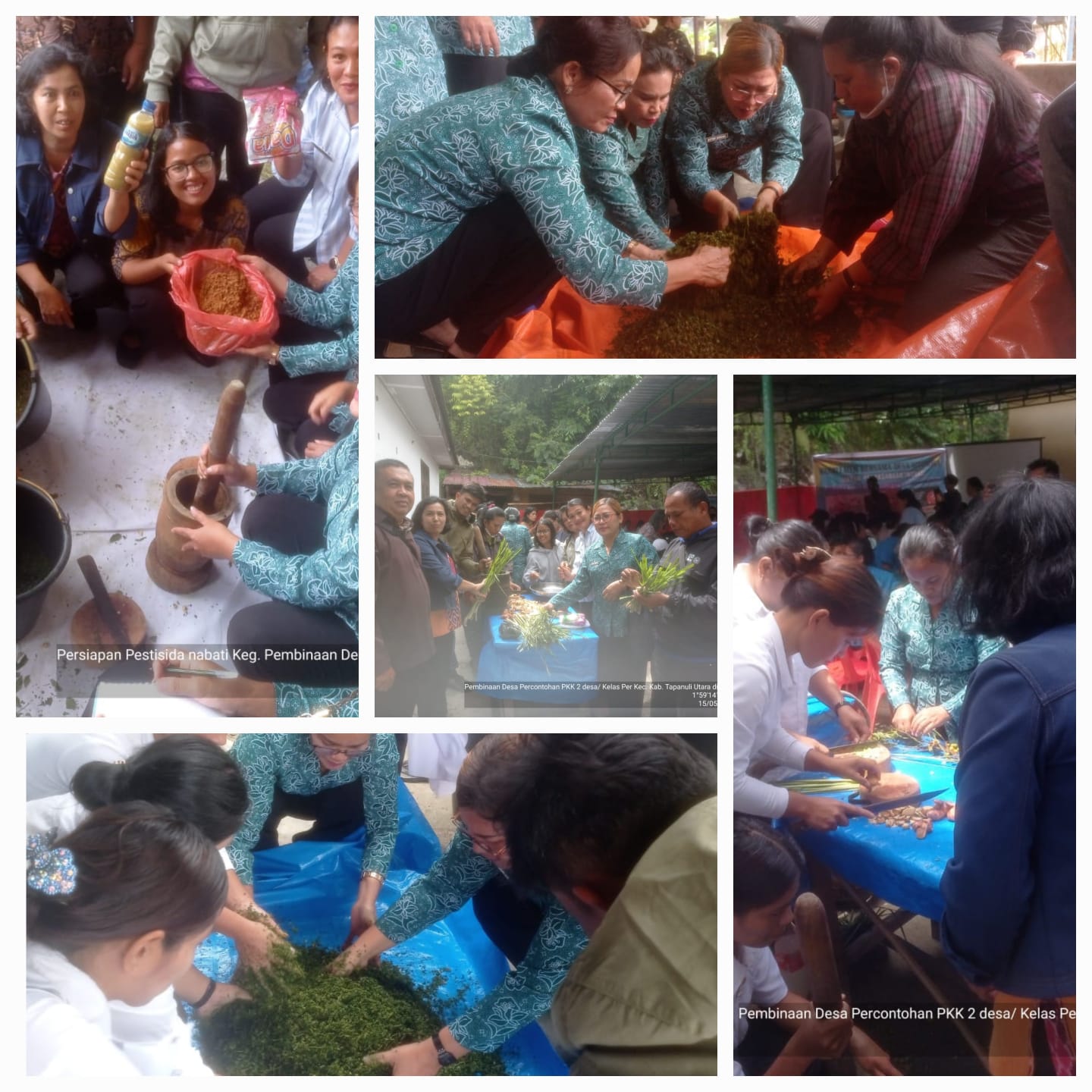 Pembuatan Pestisida Nabati