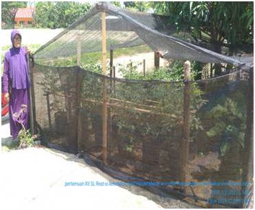 IBU RUMAH TANGGA DIAJAK MANFAATKAN PEKARANGAN UNTUK PERTANIAN