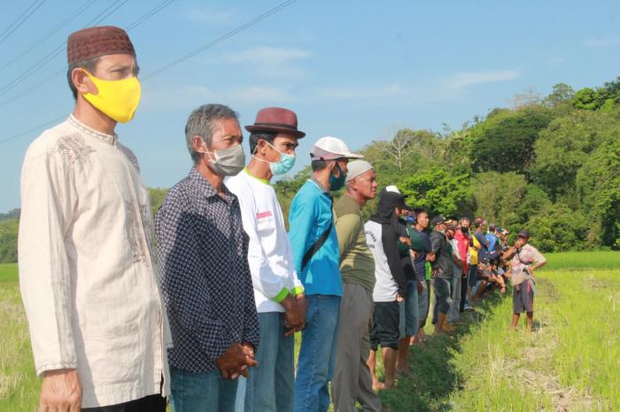 Mappalili tahun 2020, tradisi ritual turun sawah di Parepare