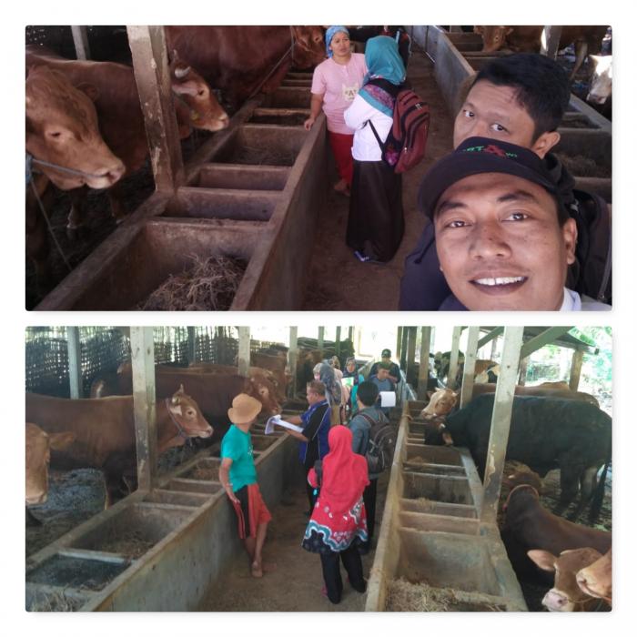 MINA PADI DESA GAYAM KECAMATAN KENDAL KABUPATEN NGAWI