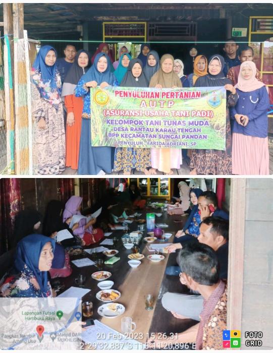 Penyuluhan " AUTP " di Poktan Tunas Muda Ds.Rantau Karau Tengah Kec. Sungai Pandan Kab. HSU Bersama Penyuluh WKPP dan Penyuluh Swadaya