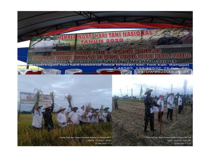MEMPERINGATI  HARI TANI NASIONAL MELALUI GERAKAN  PANEN PADI DAN TANAM KEDELAI 