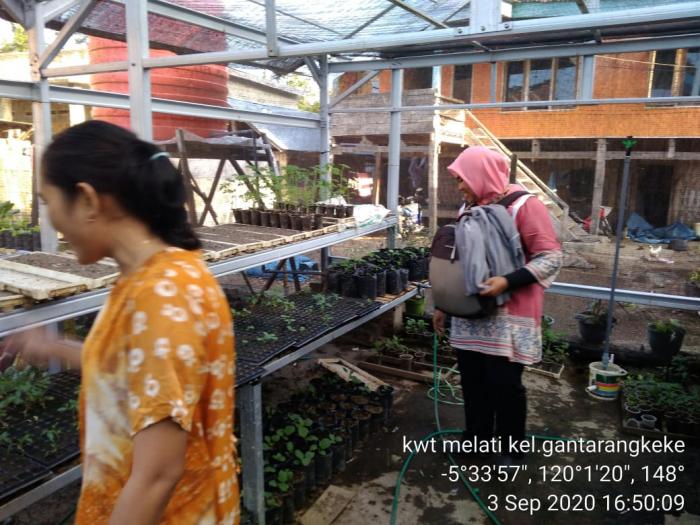  kunjungan ke kwt melati kel.gantarangkeke Kec.Gantarangkeke Kab.Bantaeng