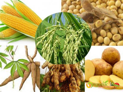 Uji Kesesuaian Alsintan