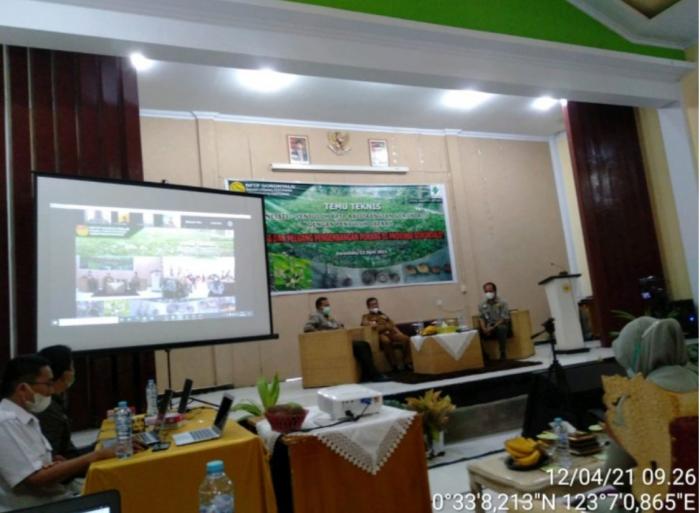 Kementan Akan Maksimalkan Peran Penyuluh Dalam Budidaya Porang