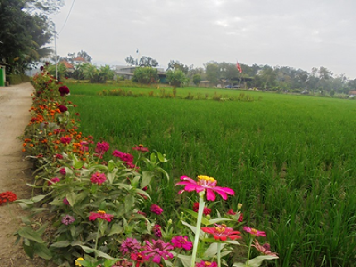 TEKNOLOGI PENGAWETAN PANGAN BEBASIS SISTEM PANGAN REGENERATIF