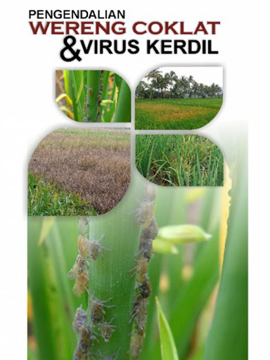 TEKNOLOGI PENGENDALIAN WERENG COKLAT DAN VIRUS KERDIL PADA TANAMAN PADI