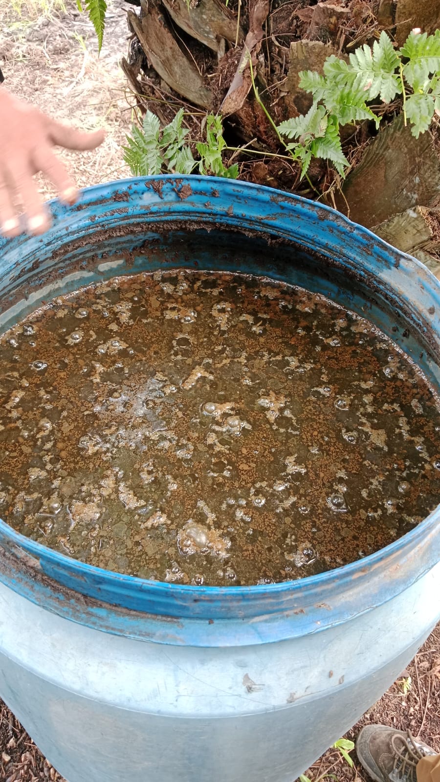 Praktik Pembuatan Pupuk Organik Cair Kelompok Sumber Rezeki Kelurahan Pergam