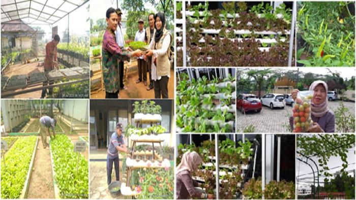 OPTIMALKAN TAGRI MART DI PEKARANGAN IP2TP MASGAR BPTP LAMPUNG SEBAGAI PENYEDIA PANGAN DAN PERCONTOHAN BAGI MASYARAKAT 