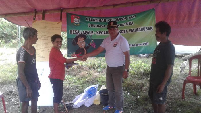 KEGIATAN PELATIHAN BUDIDAYA TANAMAN KANGKUNG DARAT DESA LAPALE Ã¢â‚¬â€œ KEC.KOTA WAIKABUBAK Ã¢â‚¬â€œ KAB.SUMBA BARAT 