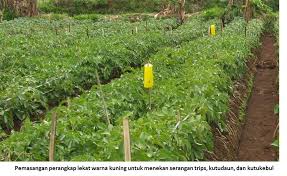 Konsep Pengendalian Hama Terpadu