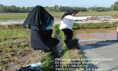 MANAJEMEN PERSEMAIAN
