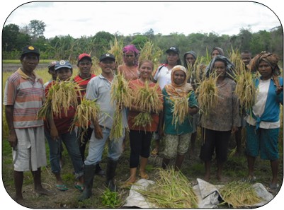 PANEN DAN PASCA PANEN PADI SAWAH