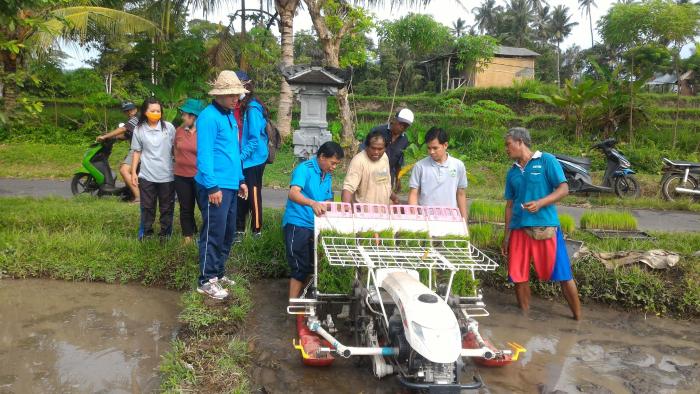 Penggunaan Alsintan Rice Transplanter Tanam Padi Sangat Membantu Petani
