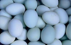 6 CARA SEDERHANA PENGAWETAN TELUR