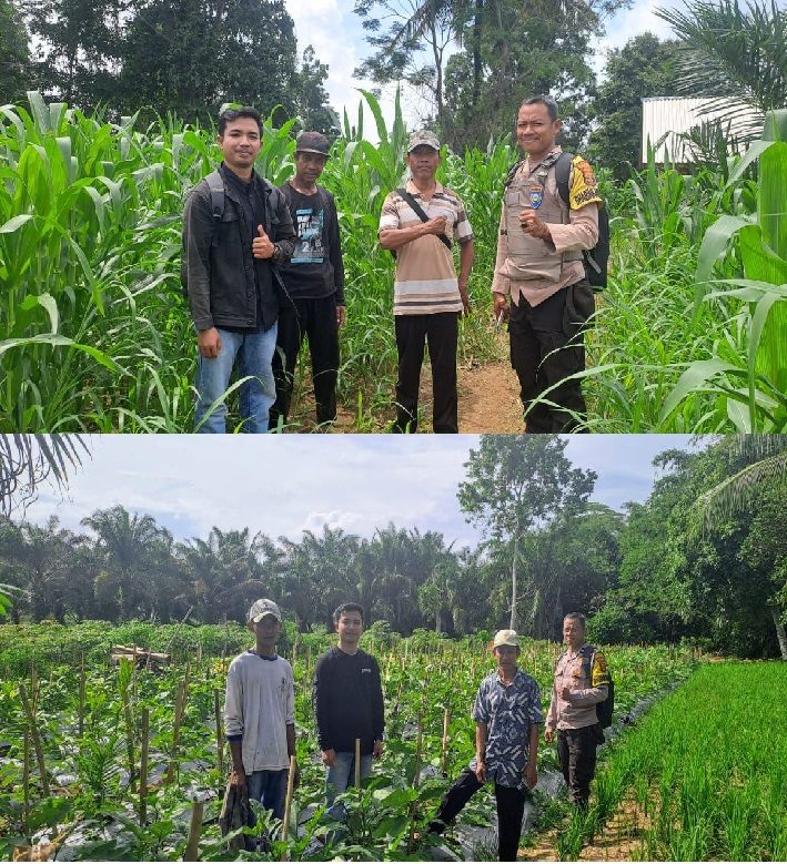 Kolaborasi Penyuluh Pertanian Dengan Babinkamtibmas Dalam Upaya Meningkatkan Ketahanan Pangan