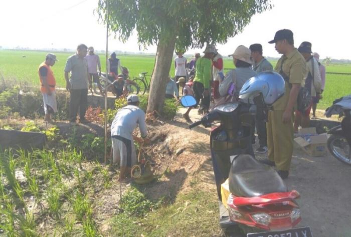 penggendalian serangan hama tikus dengan fumigasi di kelompok tani tani luhur desa munggut kecamatan padas kabupaten ngawi