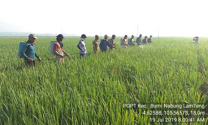 Bimbingan Gerakan Pengendalian Wbc