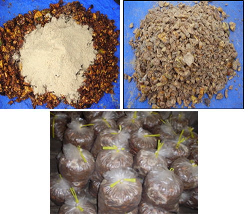 PEMANFAATAN LIMBAH KULIT KAKAO MENJADI PAKAN TERNAK KAMBING