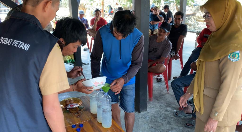 Penyuluh Pertanian Wilayah SIMURP Ajak Petani Buat Ramuan Modal 5000 Rupiah Bisa Maksimalkan Produksi Tanaman