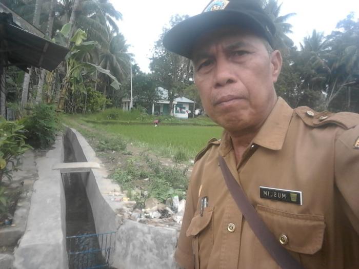 pengairan berselang pada  padi sawah guna meningkatkan produksi pertanian