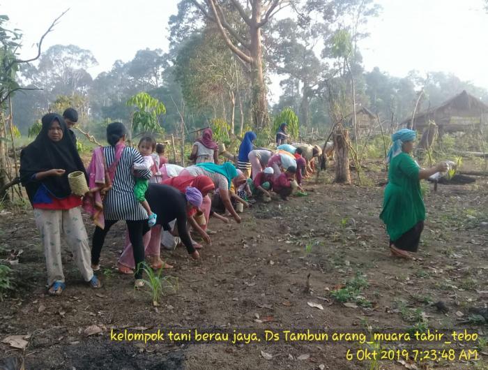 MELESTARIKAN TRADISI BASELANG DI DESA TAMBUN ARANG KECAMATAN MUARA TABIR KABUPATEN TEBO