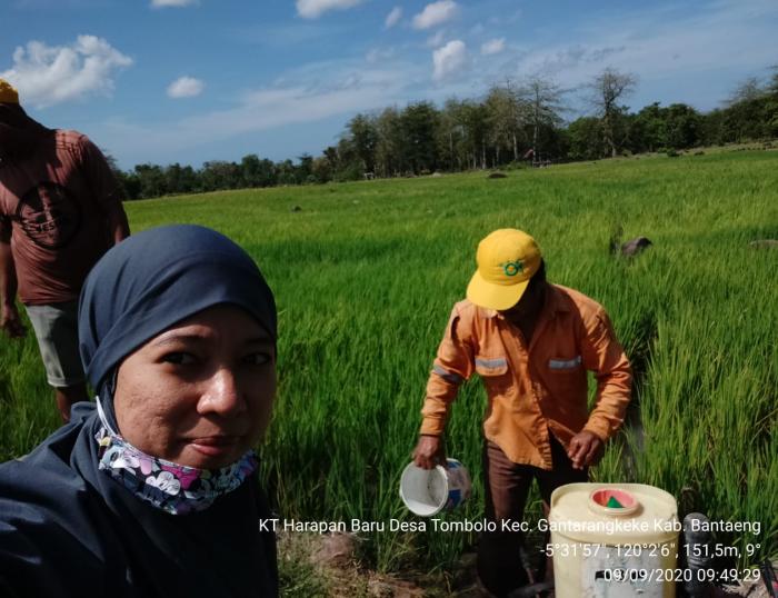 Kunjungan ke lahan sawah Kelompok Tani Harapan Baru Desa Tombolo Kec.Gantarangkeke Kab.Bantaeng