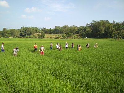 Penggunaan Pestisida Secara Tepat