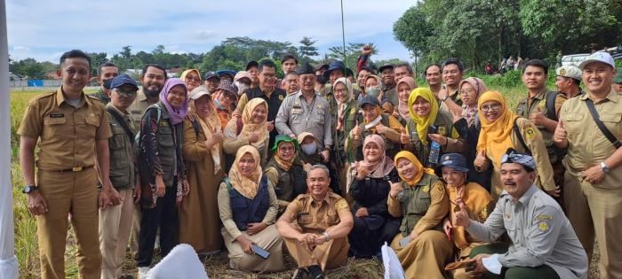 Panen Raya Padi Di Kecamatan Cileungsi, Kabupaten Bogor Siap Jaga Stabilitas Harga
