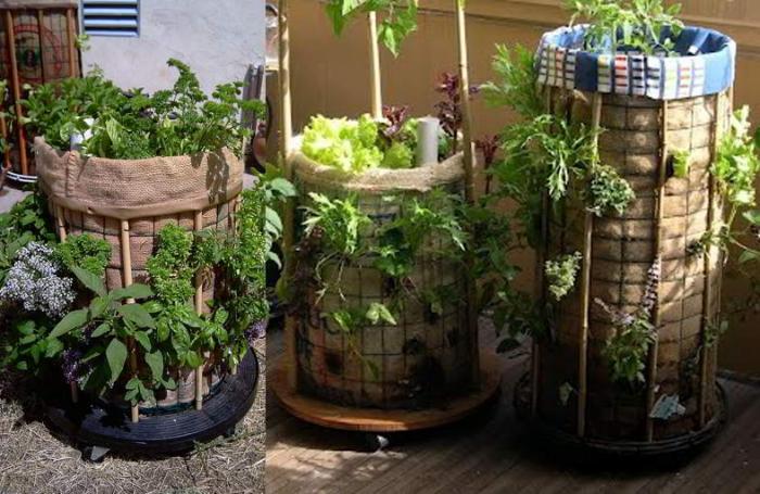 Pemanfaatan Lahan Dengan Vertical Garden Atau  Polykultur