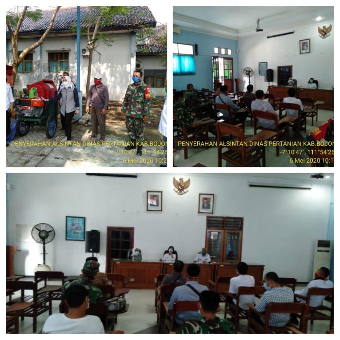 Panen Dan Pasca Panen Tanaman Jagung