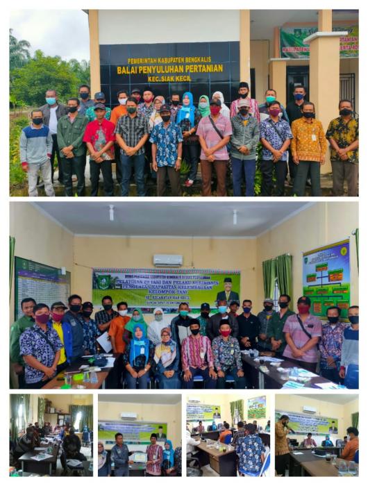 Pelatihan Penguatan  Kapasitas Kelembagaan Kelompok Tani Se Ã¢â‚¬â€œ Kecamatan Siak Kecil Kab. Bengkalis Tahun 2020 Di UPT BPP Siak Kecil