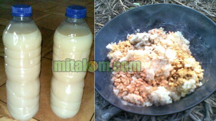Cara Mudah Membuat MOL Dari Nasi Basi