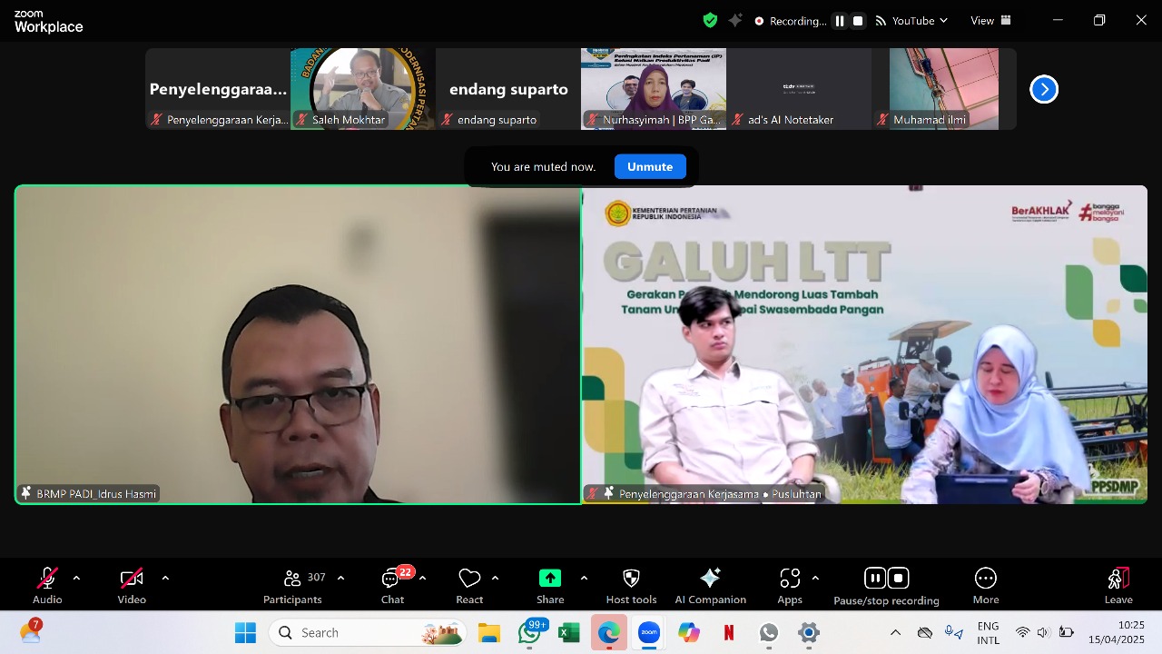 Peningkatan Indeks Pertanaman, Solusi Naikkan Produktivitas Padi