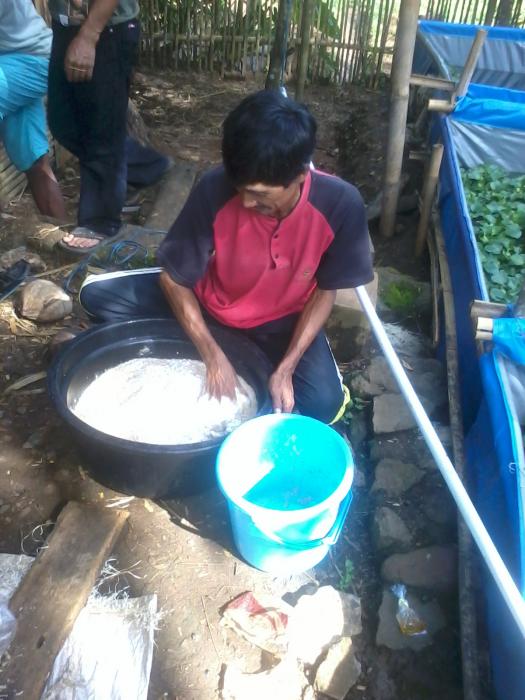 Urea Mineral Blok (UMB) Sebagai Alternatif Pakan Tambahan Dengan Bahan Baku Lokal Untuk Ternak