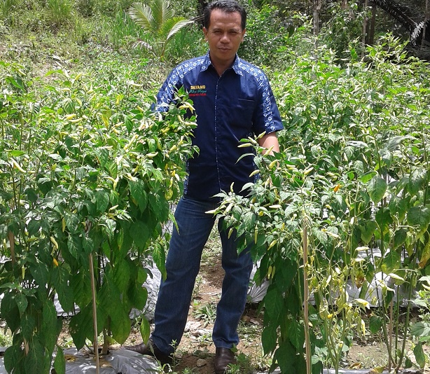 MATERI PENYULUHAN : PEMANFAATAN PEKARANGAN