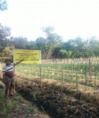 Konsep Pengendalian Hama & Penyakit Tanaman secara Hayati