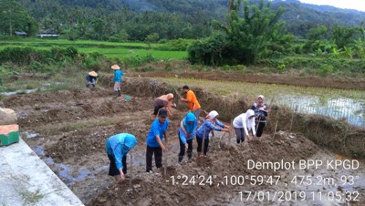 DEMPLOT SAYURAN DI BPP KPGD