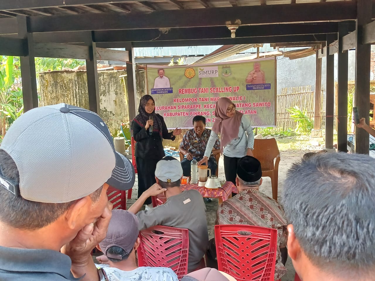 PANEN DAN PENGOLAHAN DAUN SI MANIS STEVIA