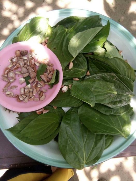 PESTISIDA NABATI DARI PINANG DAN SIRIH