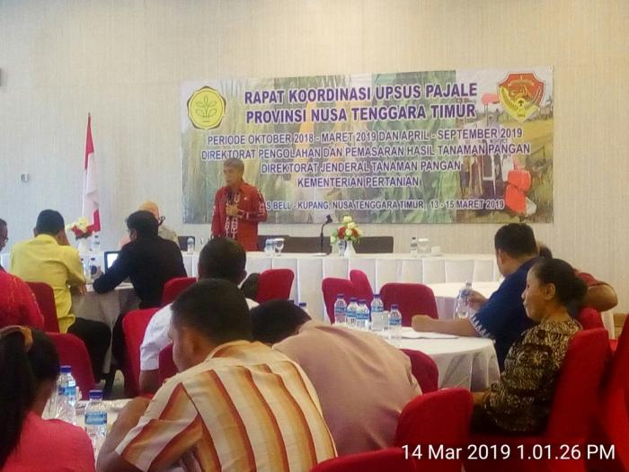 TOPI UPSUS PAJALE PROVINSI NUSA TENGGARA TIMUR