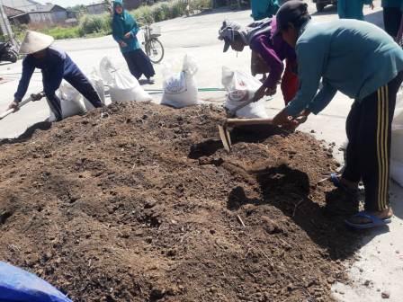 Manfaat dan Keunggulan Pupuk Organik terhadap Ekosistem Tanah