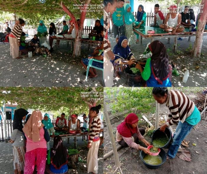 Demonstrasi Cara Pembuatan Pestisida Nabati Dari Daun Pepaya Di Kelompok Tani Waflia Indah Desa Biloro Kecamatan Kepala Madan