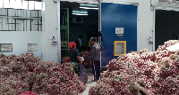 Teknologi CAS untuk Komoditas Hortikultura