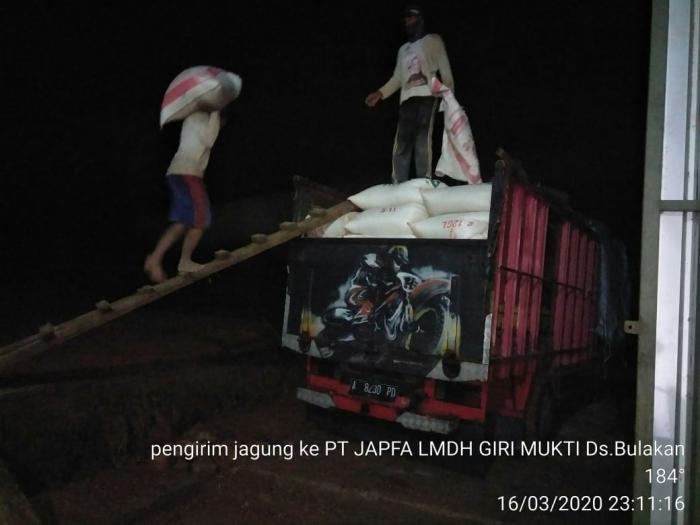 Teknologi Pascapanen Jagung di Desa Bulakan Kecamatan Gunungkencana