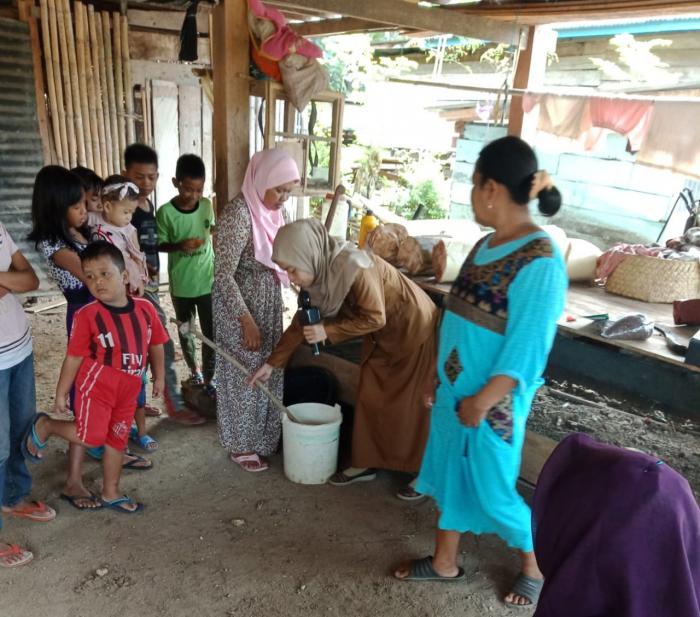 pencegahan serangan opt wereng coklat dengan aplikasi pestisida alami dalam menekan hama wereng coklat