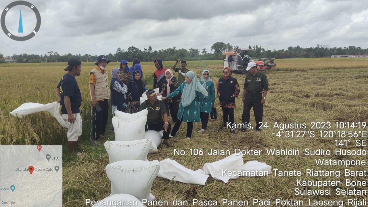 Teknik Pemanenan Padi.
