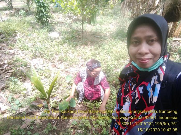 Kunjungan Lapangan Lokasi Poktan Saukang Desa Bajiminasa Kec.Gantarangkeke Kab.Bantaeng