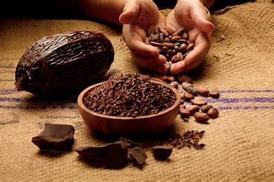 UPAYA PENINGKATAN PRODUKSI KAKAO